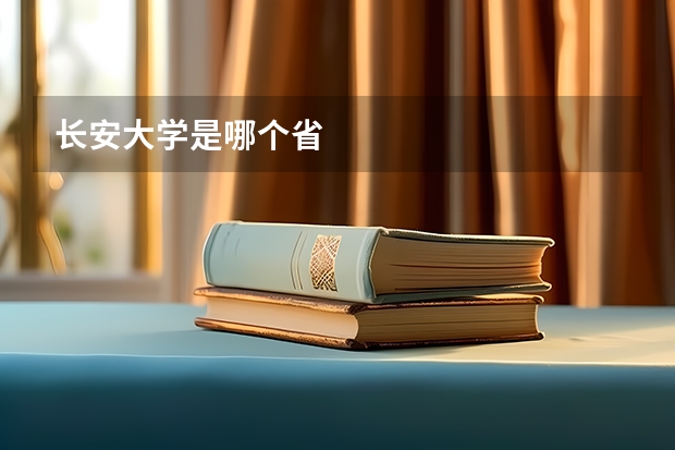 长安大学是哪个省