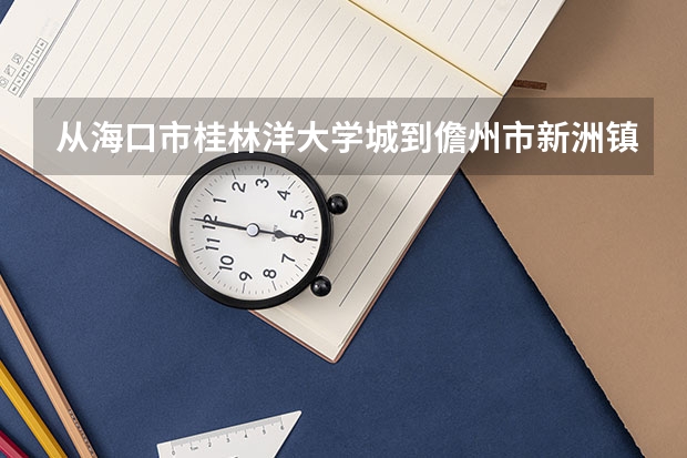 从海口市桂林洋大学城到儋州市新洲镇要坐什么车？