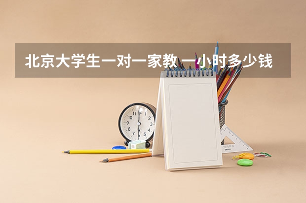 北京大学生一对一家教 一小时多少钱（211、985之类的）