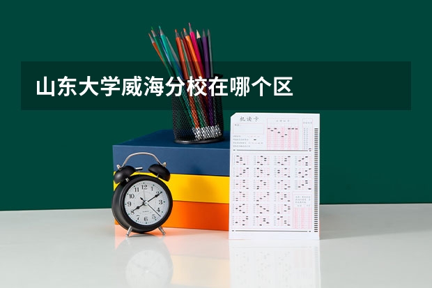 山东大学威海分校在哪个区