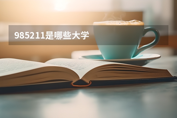 985.211是哪些大学