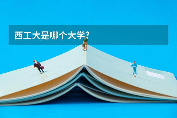 西工大是哪个大学?