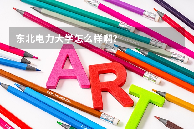 东北电力大学怎么样啊？