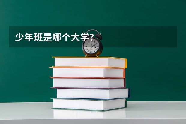 少年班是哪个大学？