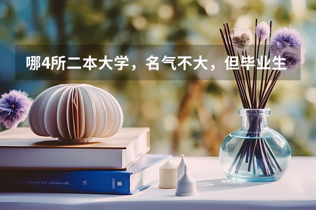 哪4所二本大学，名气不大，但毕业生就业率很高？（二本财经好就业的大学）