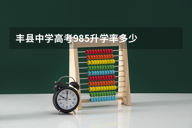 丰县中学高考985升学率多少