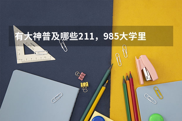 有大神普及哪些211，985大学里有二本专业嘛