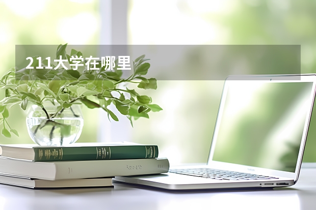 211大学在哪里
