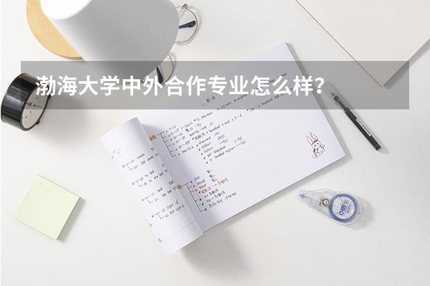 渤海大学中外合作专业怎么样？
