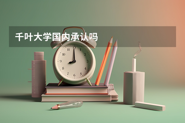 千叶大学国内承认吗