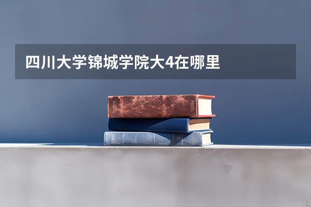 四川大学锦城学院大4在哪里
