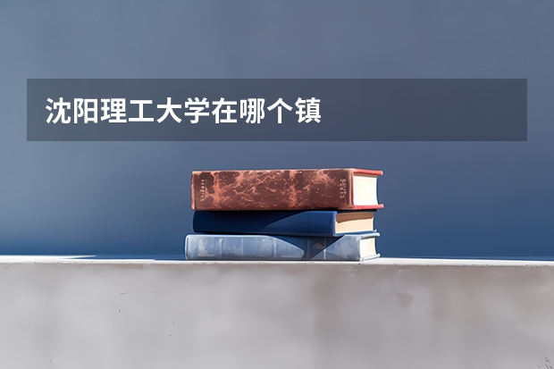 沈阳理工大学在哪个镇