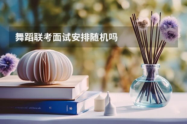 舞蹈联考面试安排随机吗