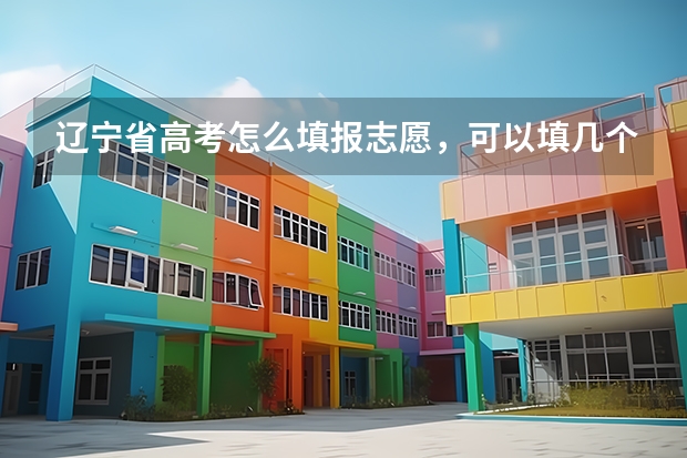 辽宁省高考怎么填报志愿，可以填几个学校，几个专业。