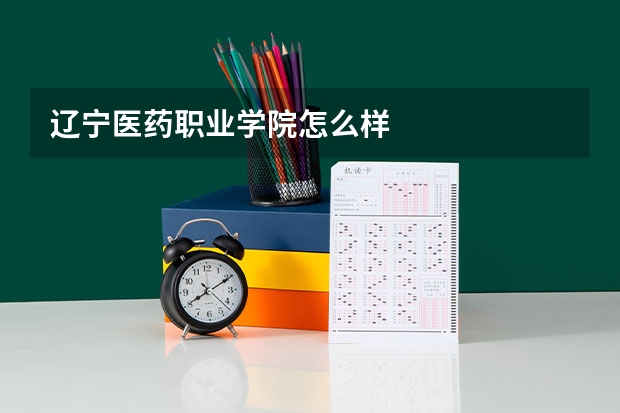 辽宁医药职业学院怎么样