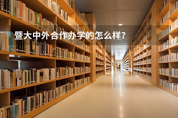 暨大中外合作办学的怎么样？