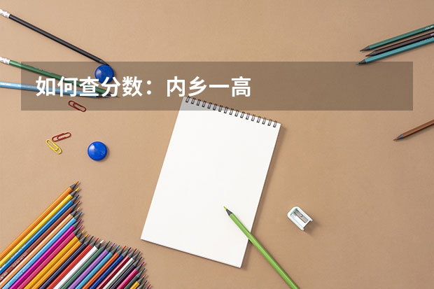 如何查分数：内乡一高
