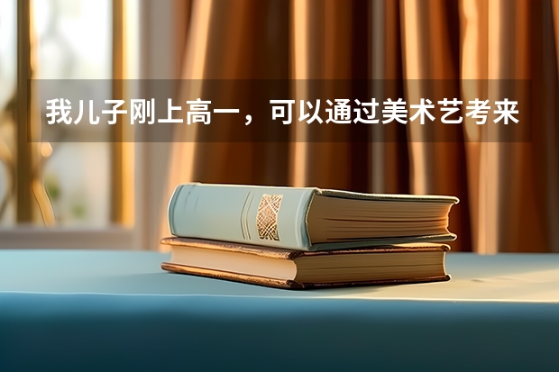 我儿子刚上高一，可以通过美术艺考来考取好大学吗？