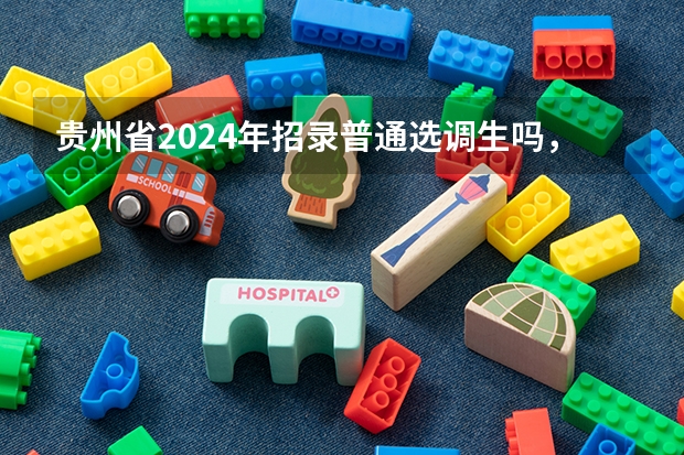 贵州省2024年招录普通选调生吗，要求是什么