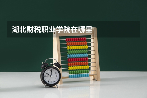 湖北财税职业学院在哪里