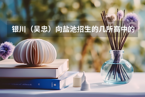 银川（吴忠）向盐池招生的几所高中的最低录取分数线是多少？