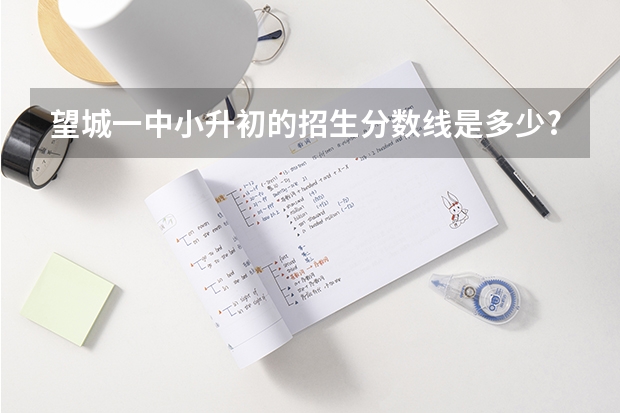 望城一中小升初的招生分数线是多少?