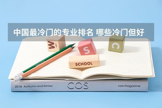 中国最冷门的专业排名 哪些冷门但好就业