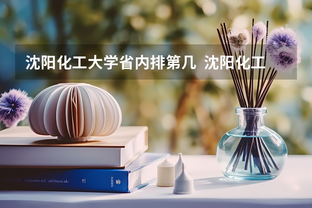 沈阳化工大学省内排第几  沈阳化工大学王牌专业是哪些
