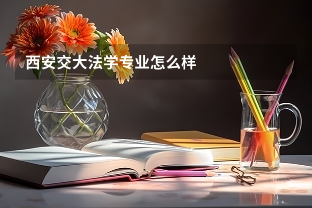 西安交大法学专业怎么样