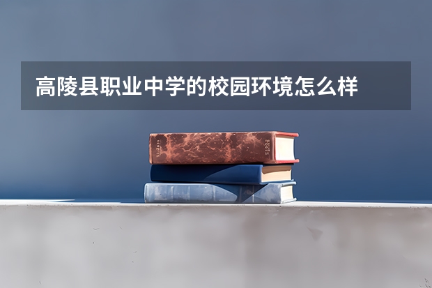 高陵县职业中学的校园环境怎么样