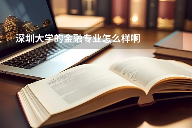 深圳大学的金融专业怎么样啊