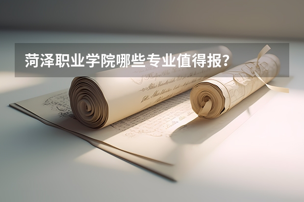 菏泽职业学院哪些专业值得报？