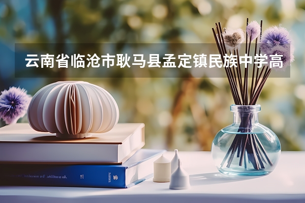 云南省临沧市耿马县孟定镇民族中学高三学生杨标报云南工贸职业技术学院为什么？
