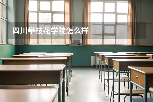 四川攀枝花学院怎么样