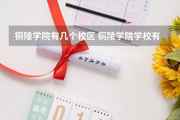 铜陵学院有几个校区 铜陵学院学校有多大
