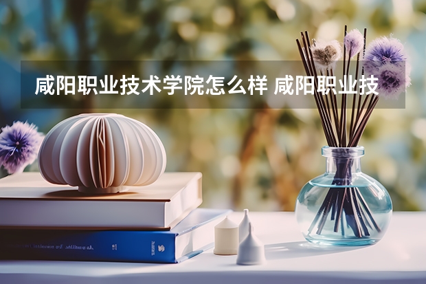 咸阳职业技术学院怎么样 咸阳职业技术学院有没有校园卡网速怎么样