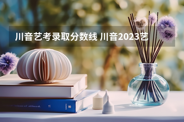 川音艺考录取分数线 川音2023艺考美术录取分数线为？