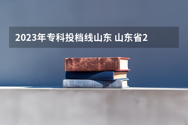 2023年专科投档线山东 山东省2023年专科投档线