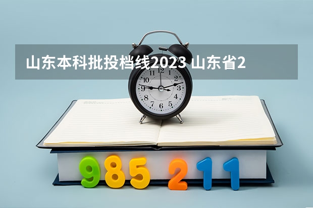 山东本科批投档线2023 山东省2023年投档线