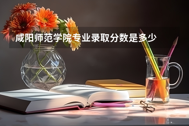咸阳师范学院专业录取分数是多少