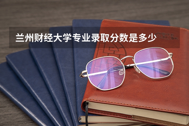 兰州财经大学专业录取分数是多少