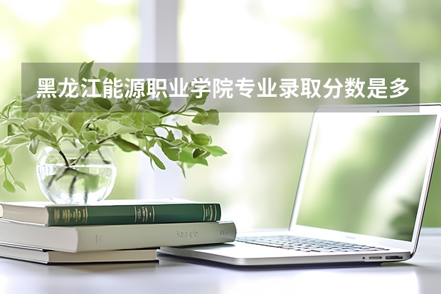 黑龙江能源职业学院专业录取分数是多少