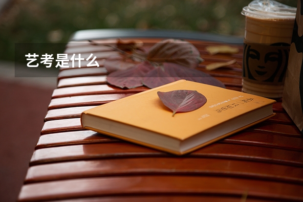 艺考是什么