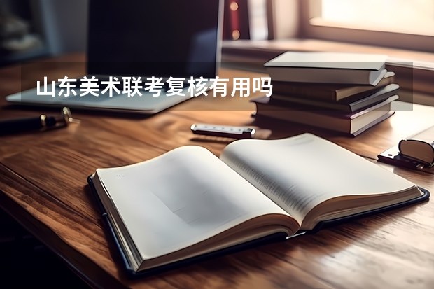 山东美术联考复核有用吗
