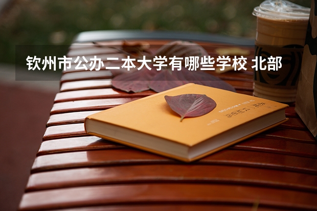 钦州市公办二本大学有哪些学校 北部湾大学是几本