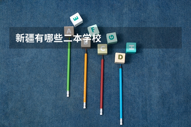新疆有哪些二本学校