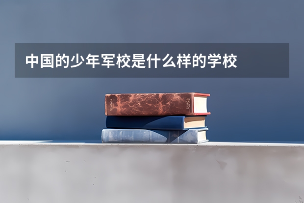 中国的少年军校是什么样的学校