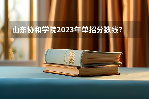 山东协和学院2023年单招分数线？（山东经贸单招分数线）