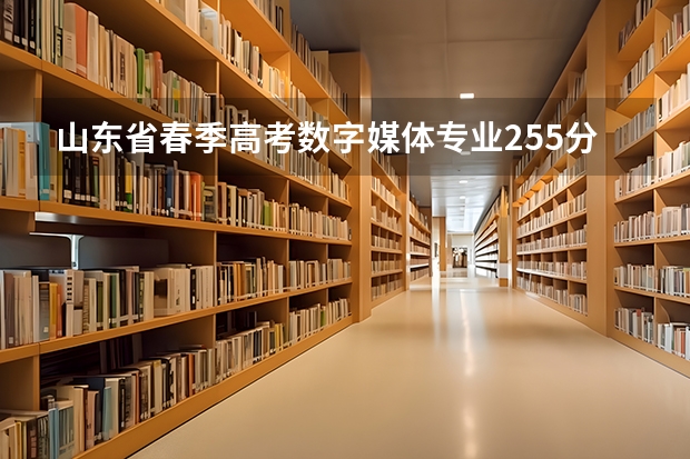 山东省春季高考数字媒体专业255分可以报考哪些学校