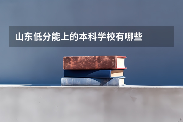 山东低分能上的本科学校有哪些